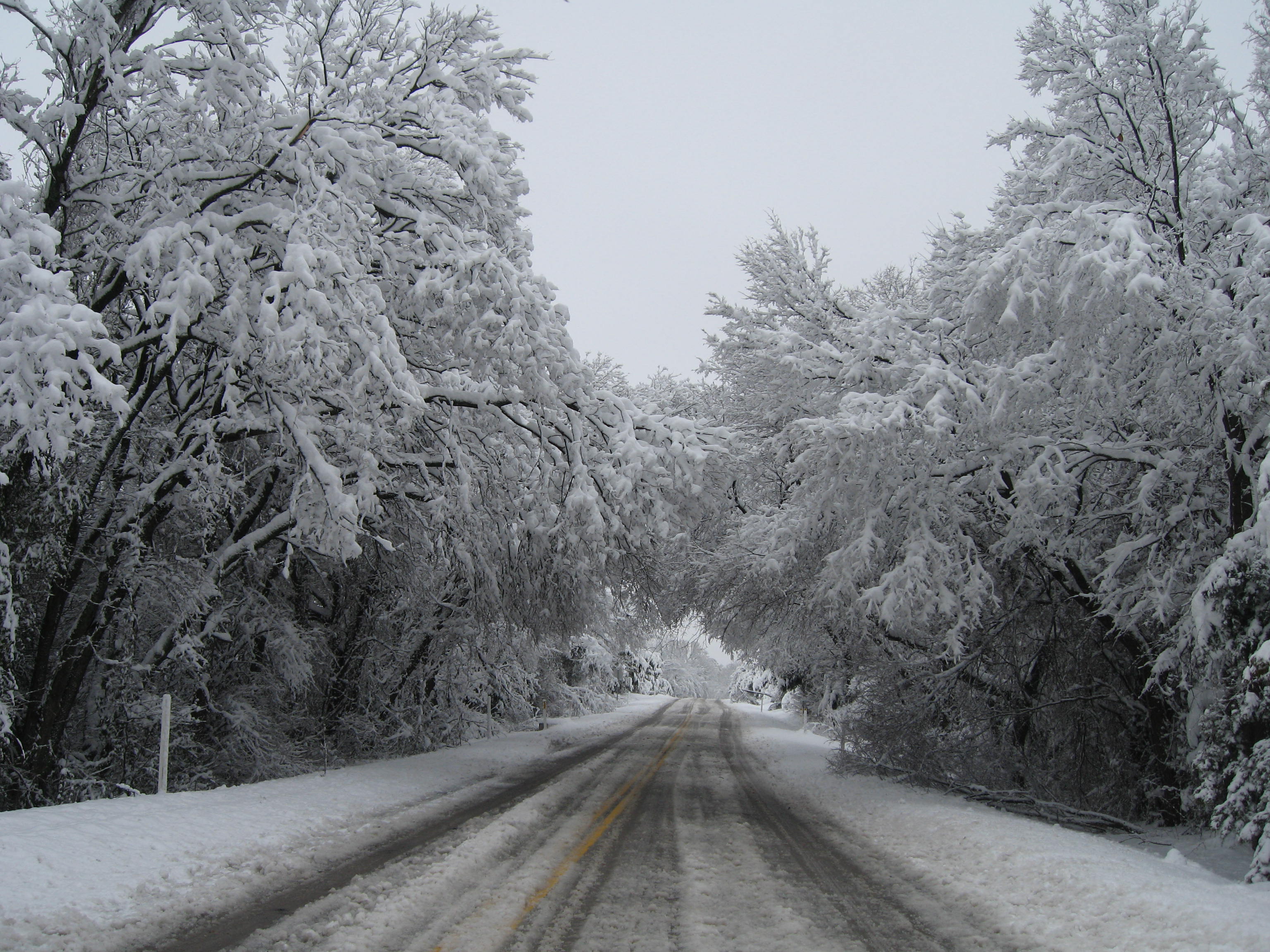 10.02.11 cedar hill snow scenes 077